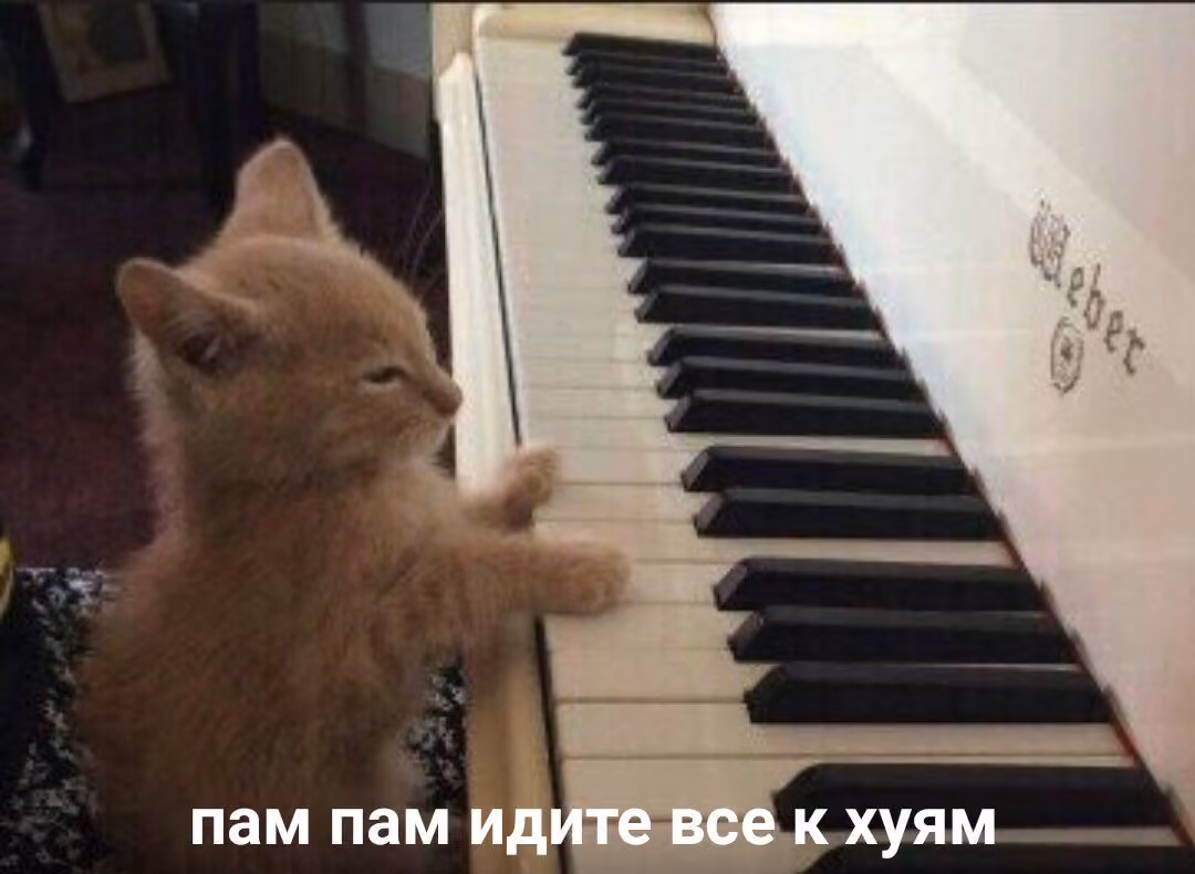 438379c19b340ff359633f4f19a2f600.avif