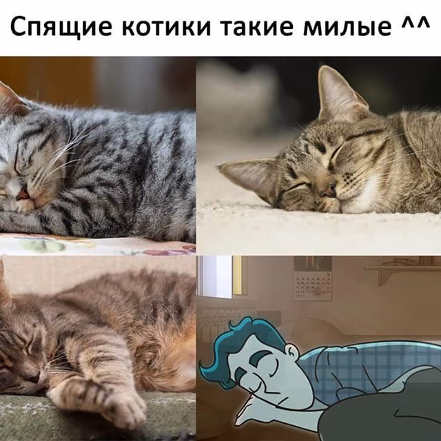 43a1377fe3001d14e2964a5115492d0a.jpg