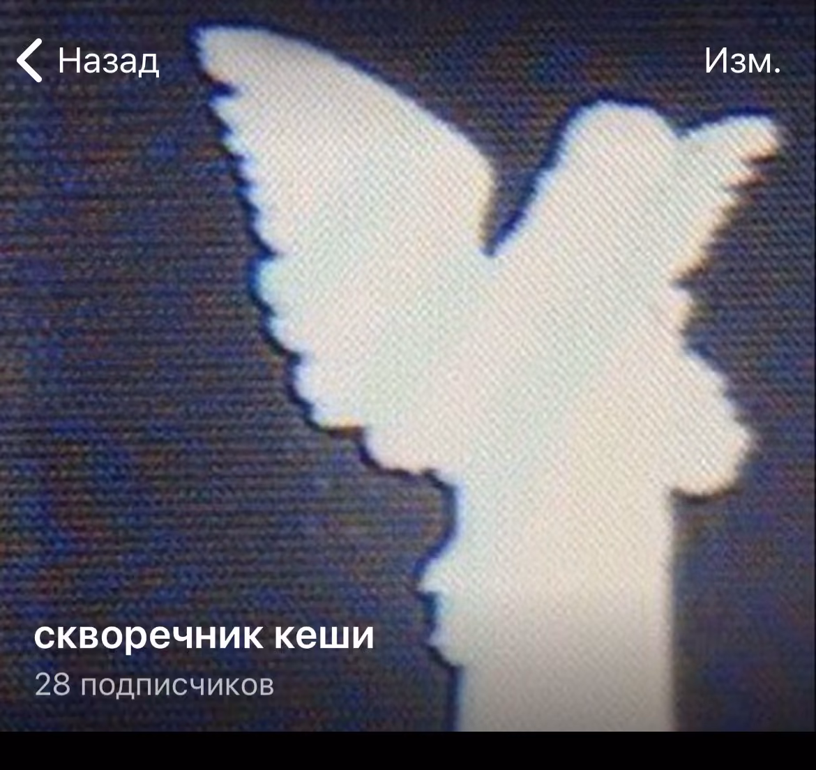 43a1a60a3f44e9800ffd44d5ba259d05.avif