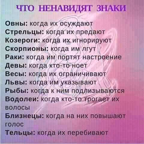 43a1f646bbeded3778566134862d63e4.avif