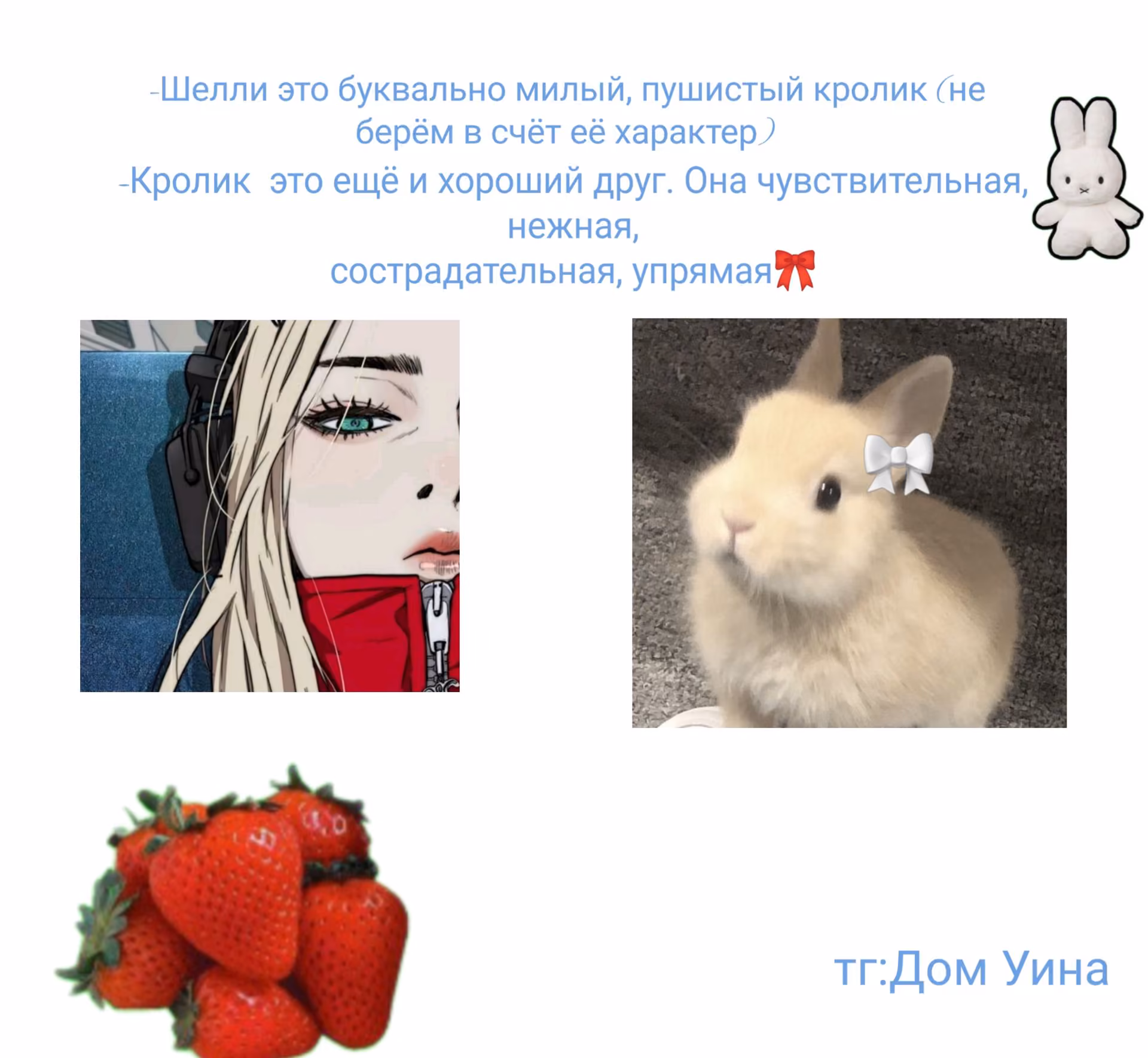 43a6449cc940473a9ffd18a842f3e5d6.avif