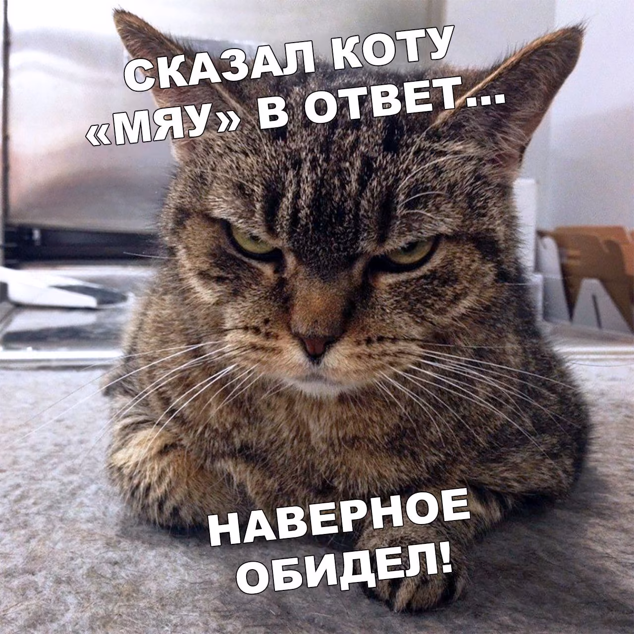 43b8792652e165eb365b4394b5309b0b.jpg