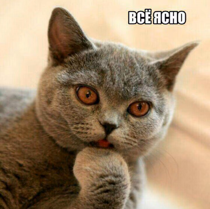 43c2aa2f34f80df53aa28c224a797654.avif