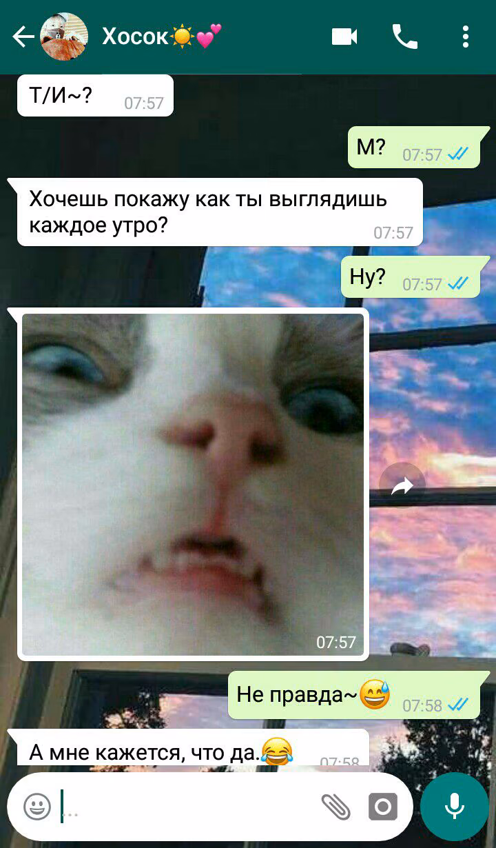 43d34fdb1935e8a4c4340b7933c54d80.jpg