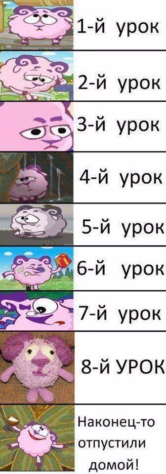43d4c396347d94a046449533ccfb74aa.avif