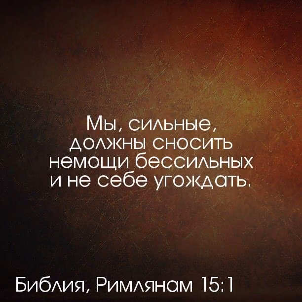 43da20c30c3eaa00ac13bfa087685d49.avif
