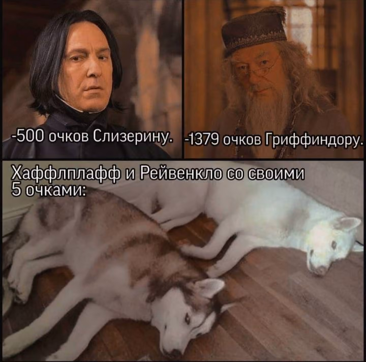 43fafd15264494818f0d5e278ae93f08.avif