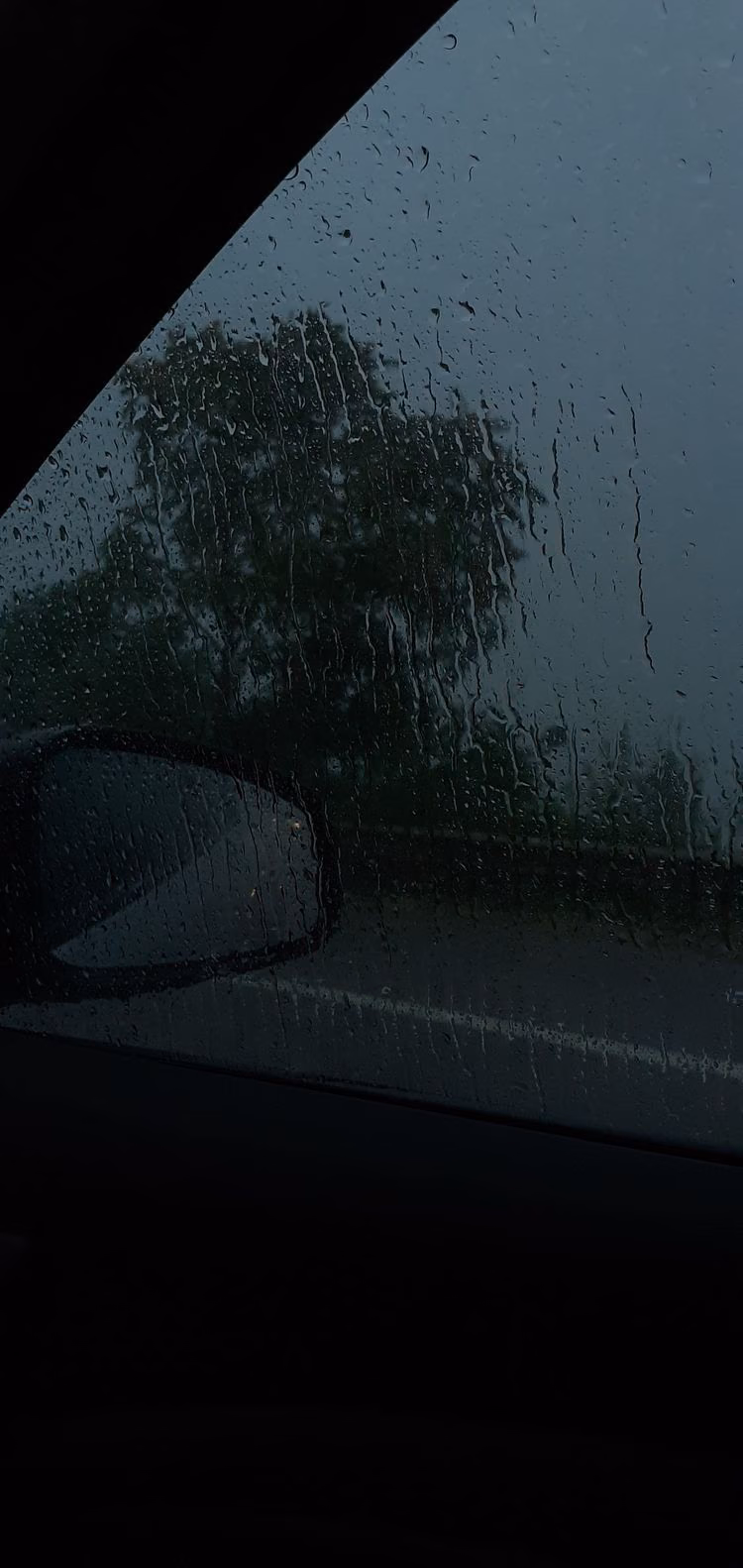 44008d774193ab6763f0072ee1e4f644.avif