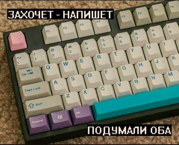 4401e0b4372b75a19cf2cb663feefd5b.avif