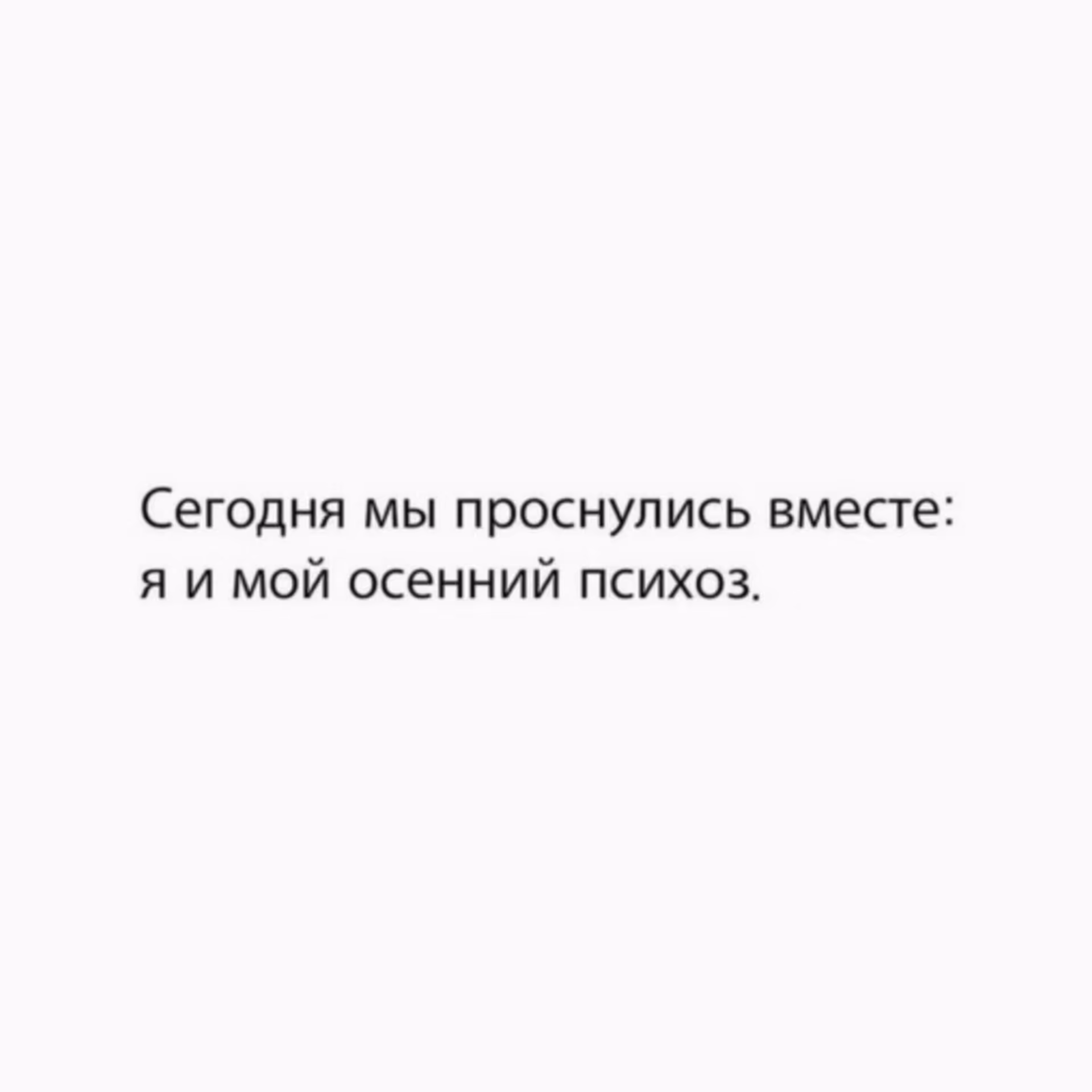 440a799dc2907a07312e663832a9443f.avif
