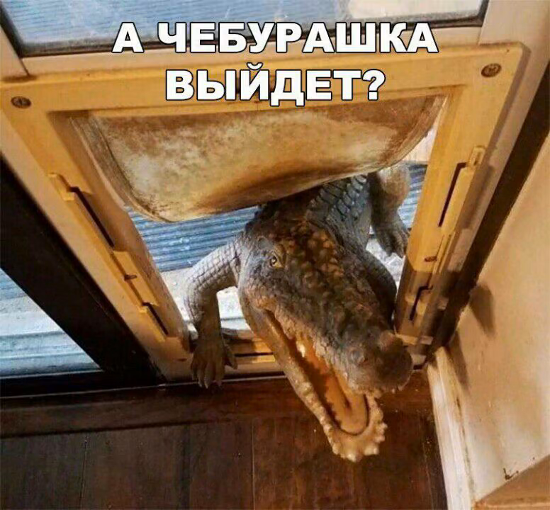 440d433f086f8de4dbcadfb29586fd86.jpg