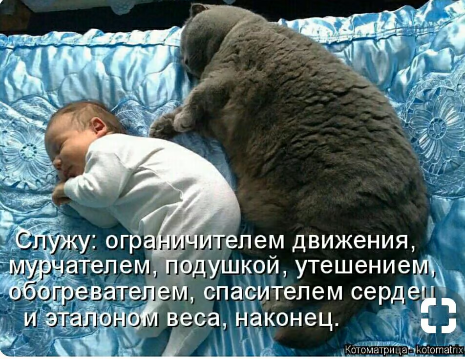 4418cf5b4063e754492de28308212ea3.jpg