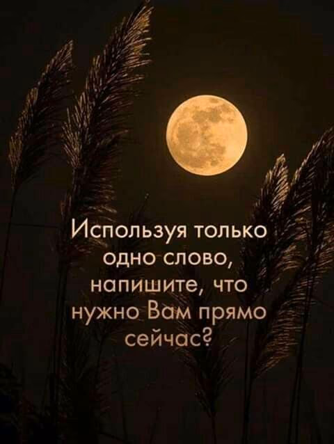 4418eb3e7cb36f161c30ec1d72e8a938.jpg
