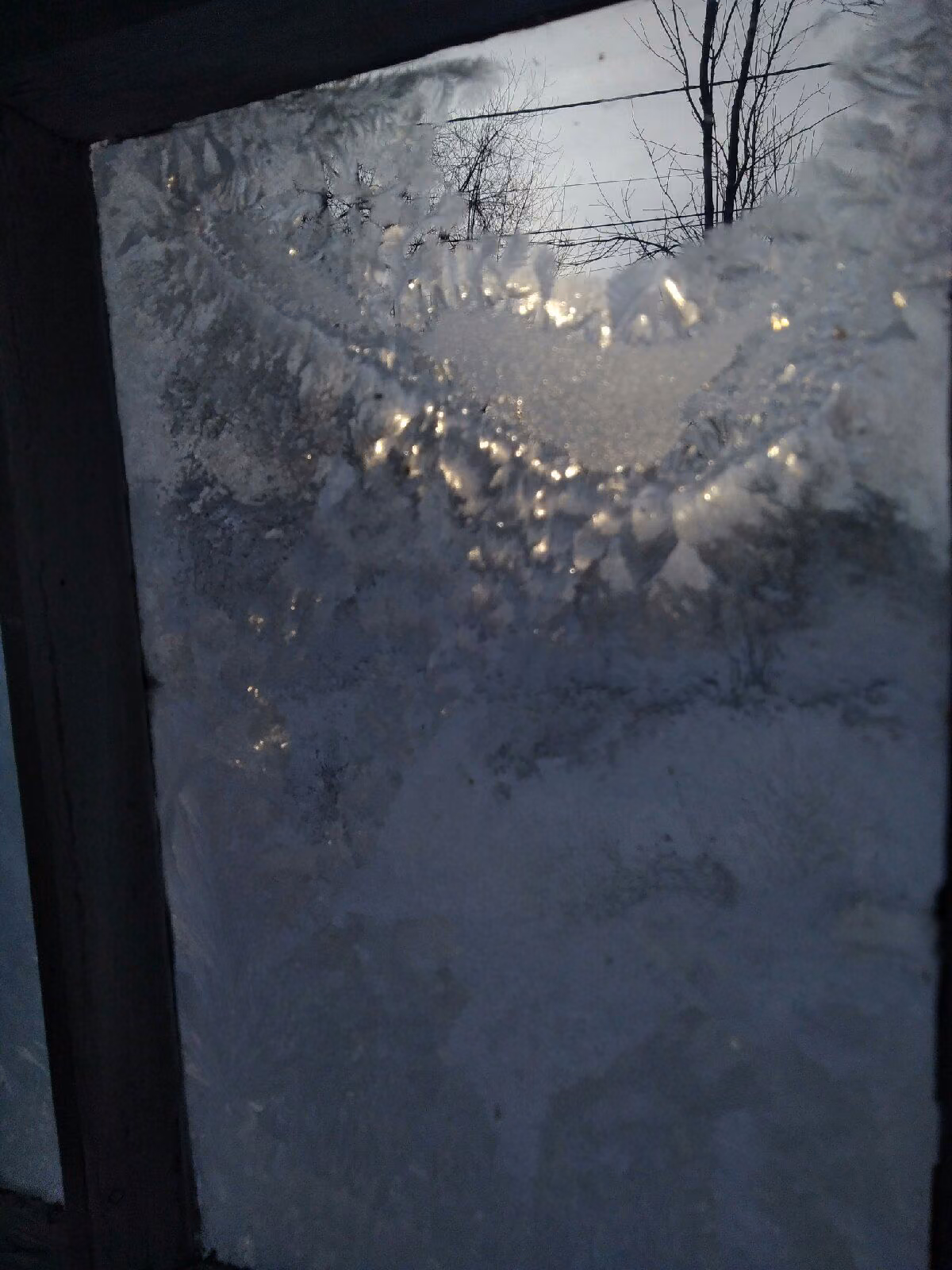 4419ad598251bf826331f044cea8872d.jpg