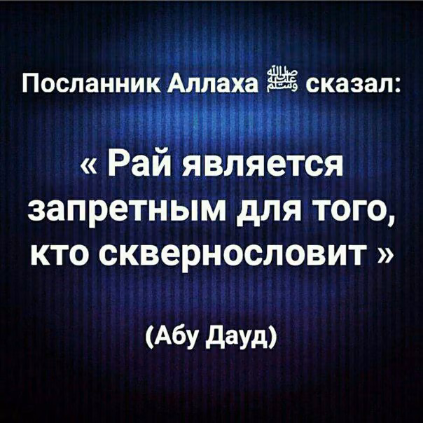 443198b35c6e4097d7d631f1522a5d65.avif