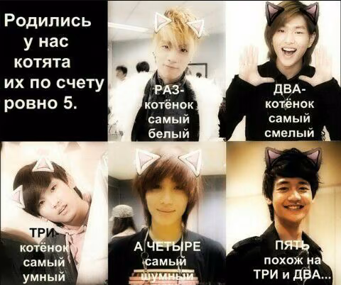 444a4e3768b68fbb80d7cacb8e3bd80f.avif