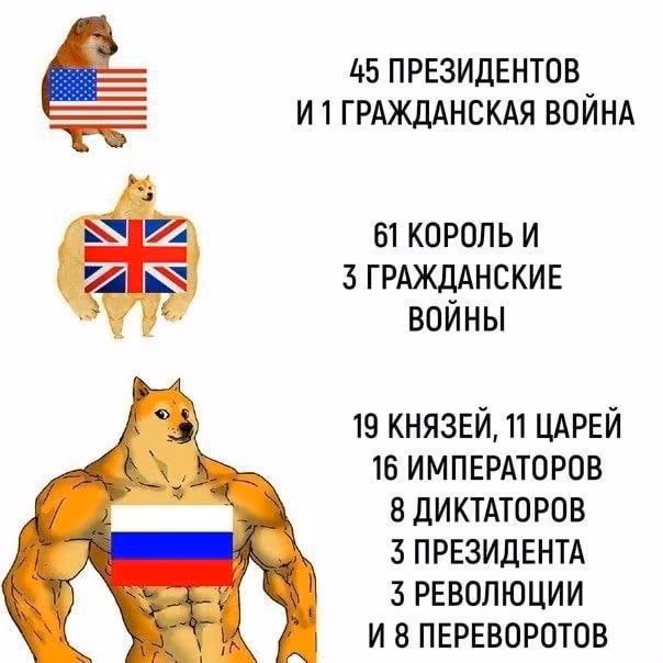 8f4e9bab2c6508c81cdc5fc9c26d5d0c.jpg
