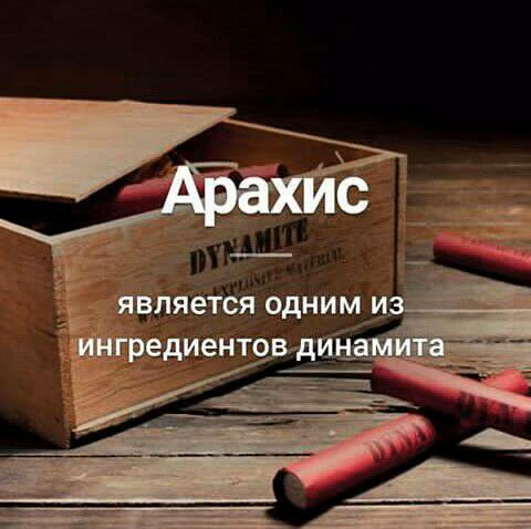 444dde42c582c5f1e46cb6a1a9e2eb42.jpg