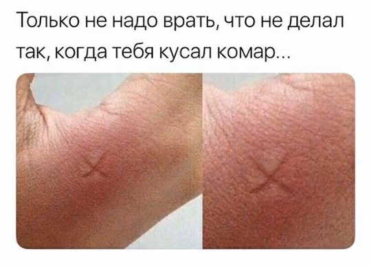 445084f81354b4a2456f6e4535d737af.avif