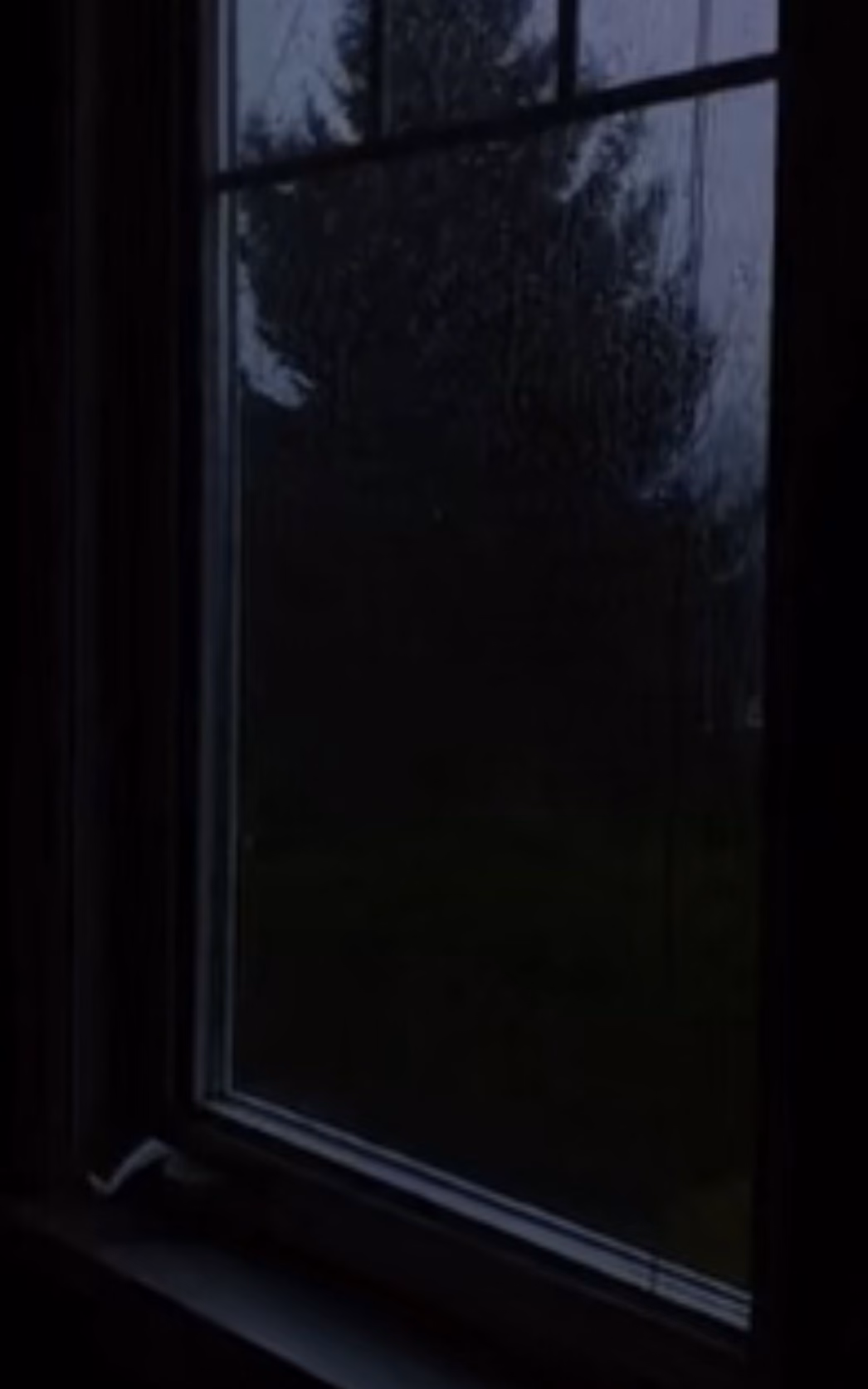 446350f36574c723302b93e02dc66326.jpg