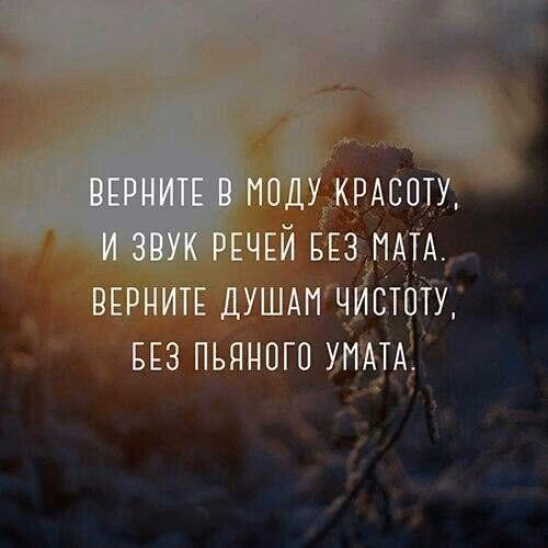 446cbdb40d1cf84e8a237f0aeb8c972f.jpg