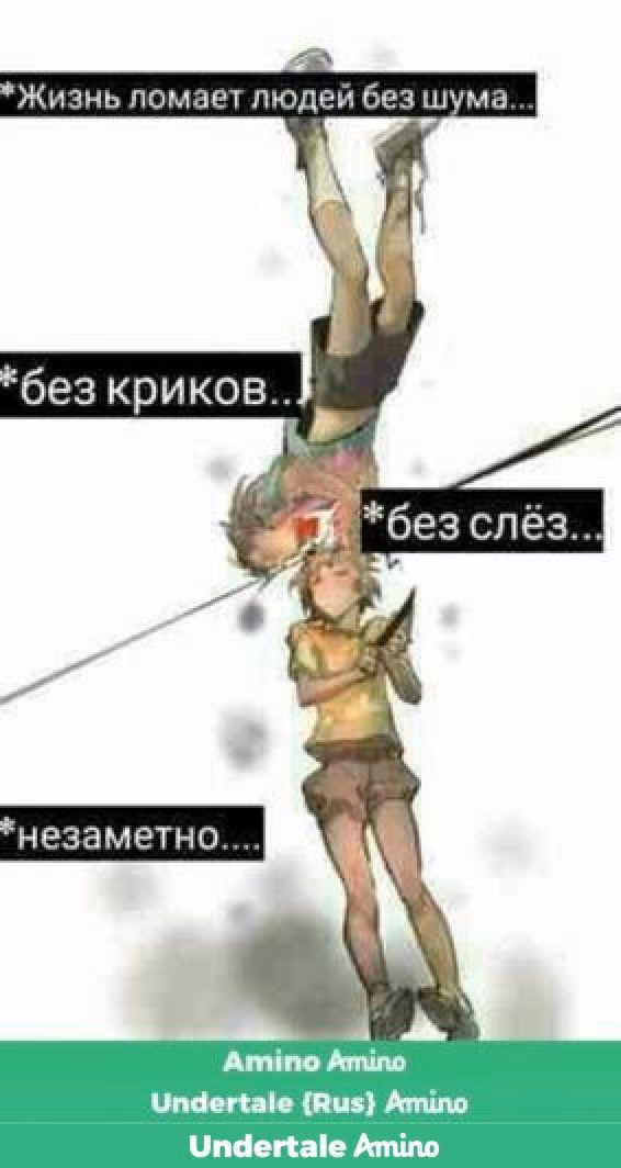 446ee3127826e2f7c246890c1027f463.avif