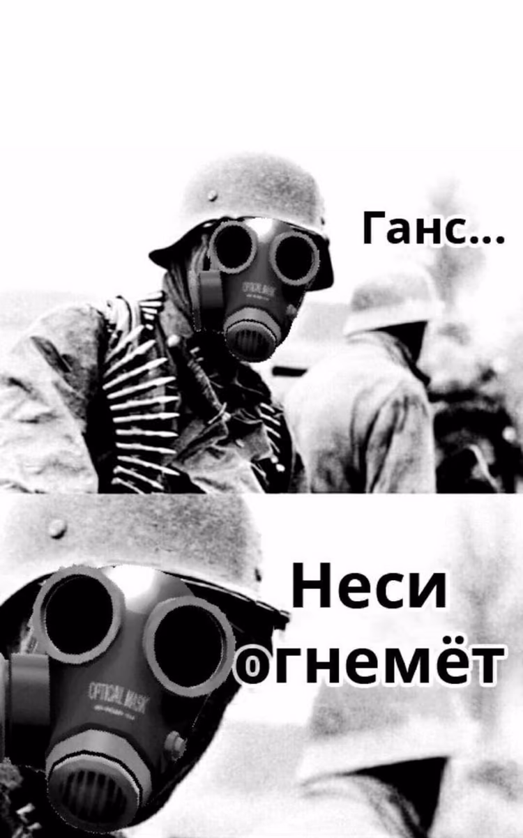 446ef3e1cdb31d96945eb8db016433ca.avif