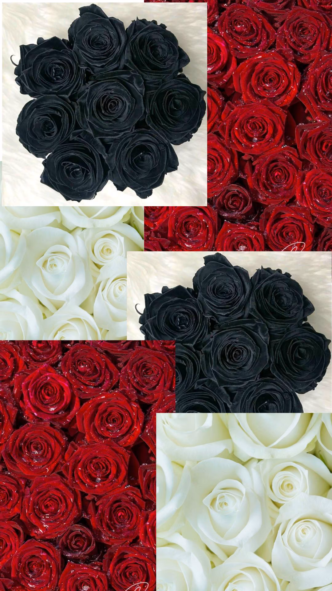 44739380471a401f42434d7a3fdd71df.jpg