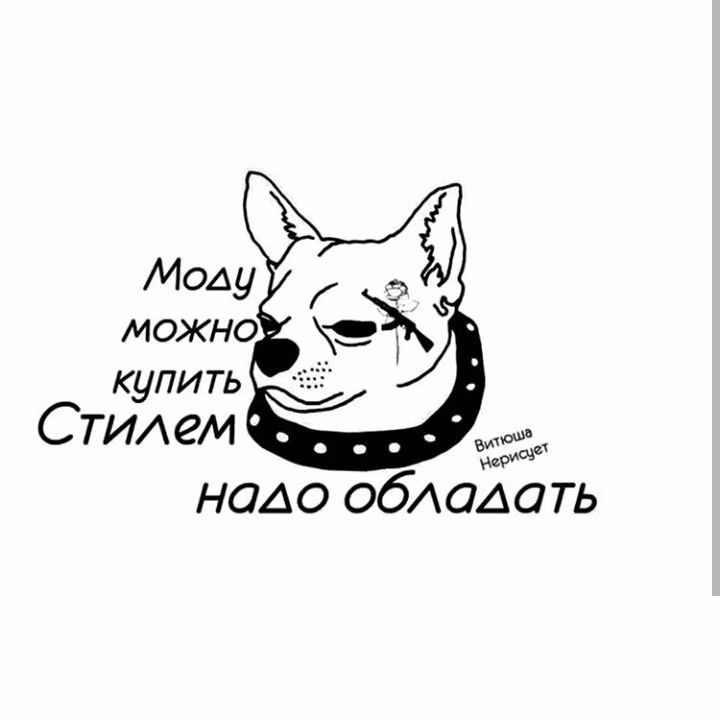 4475c4a04a90b413365d7d0a4225551e.jpg