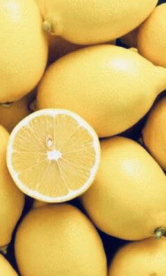 447f73fbea8d22f7d769c01d078d336d.jpg