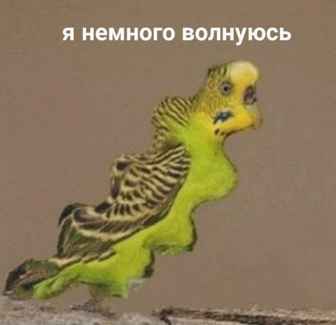 44841ecf097edf40e435a6781146ece4.avif