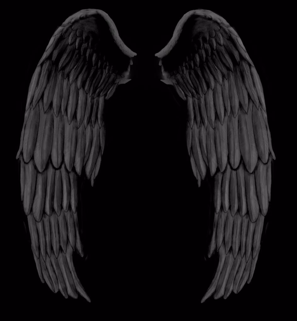 4486bc058e44caf32c67ab2fc88e8f4b.avif