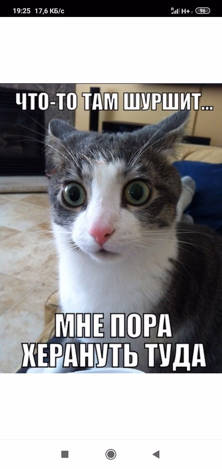 44887083f297cc6758eb7ec227dc9b55.avif