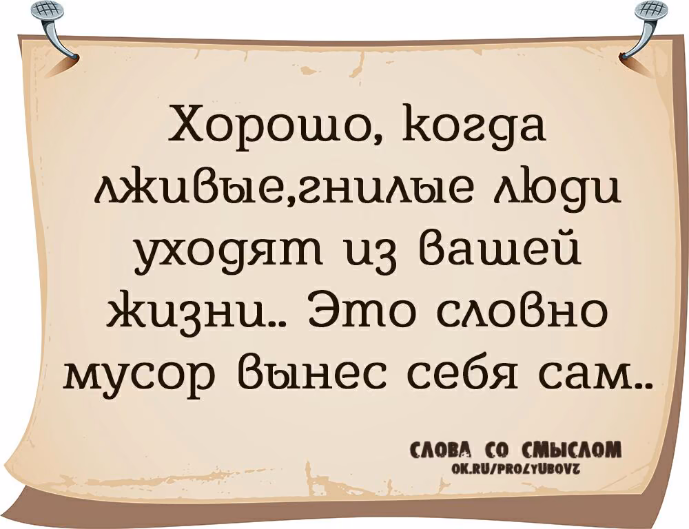 44975ad3382446de96b4a803603215e1.jpg