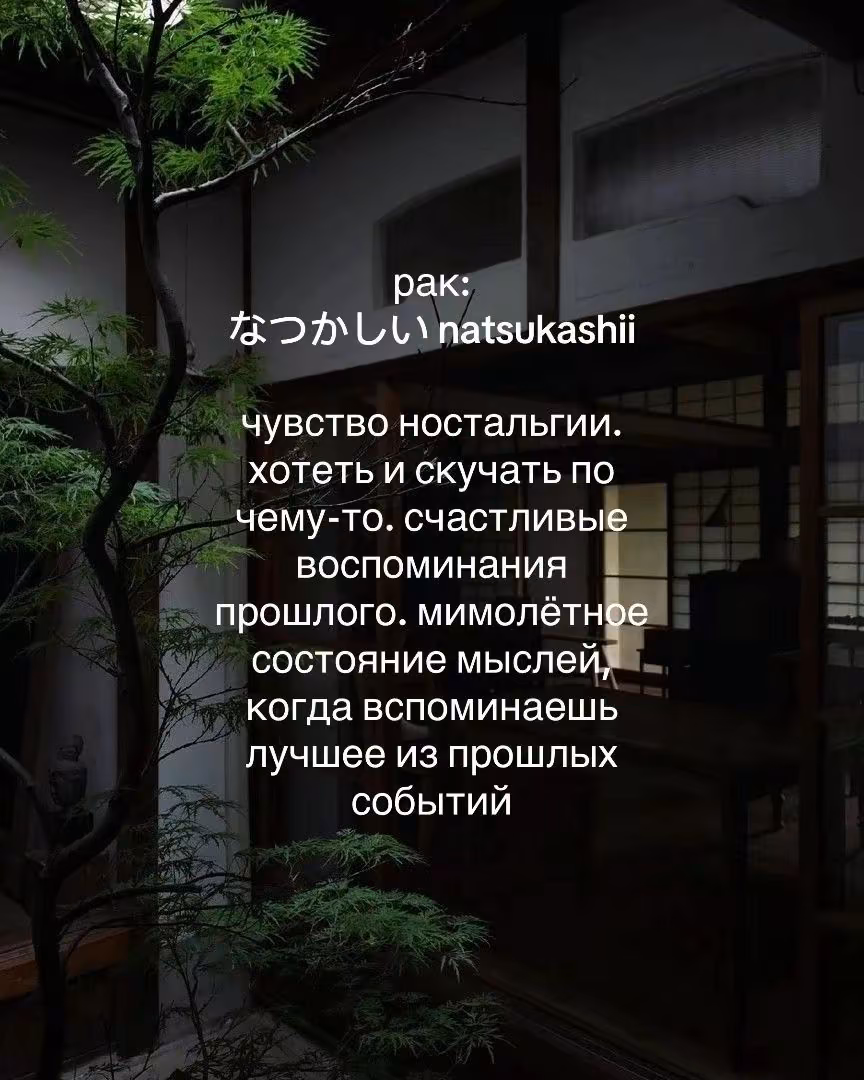 449d0accc4b609ec2f73a8513d2ffcbf.jpg