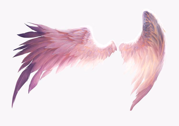 44a2f24167ce31680cb4f5679259c4de.avif