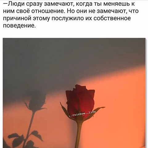 44a31893d502a6f62e6eaa5a390073b2.jpg