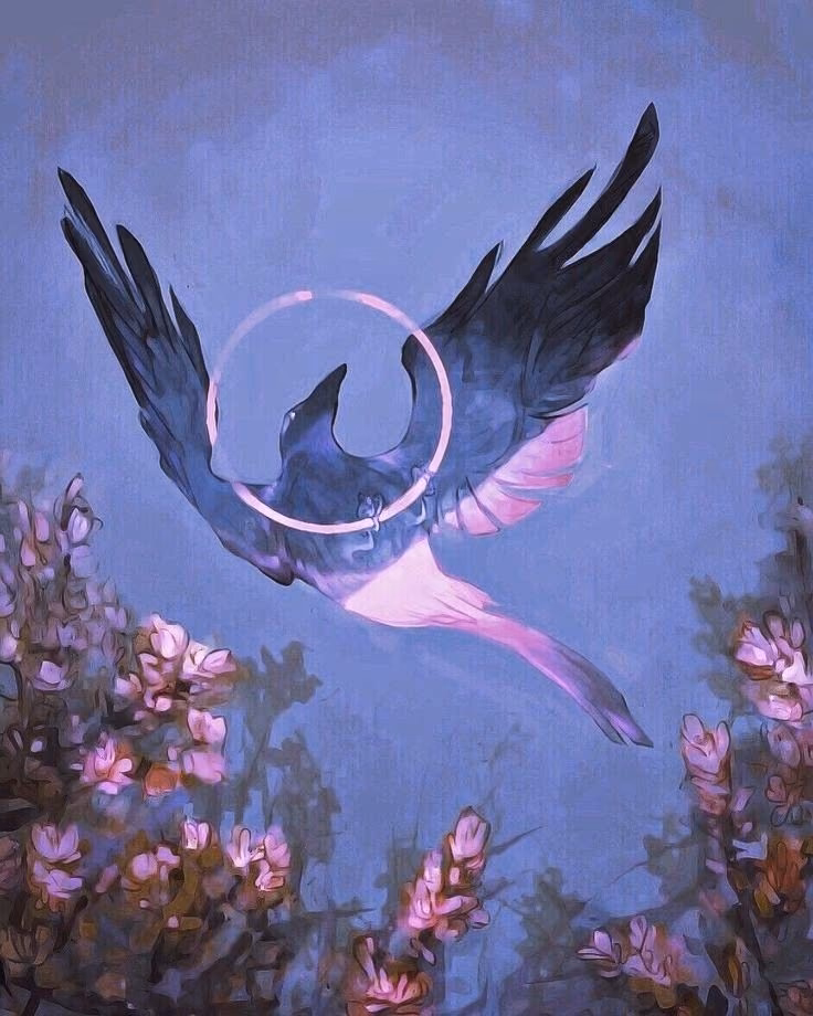 44bc854d84e47e1ffca371bfca5c2648.avif