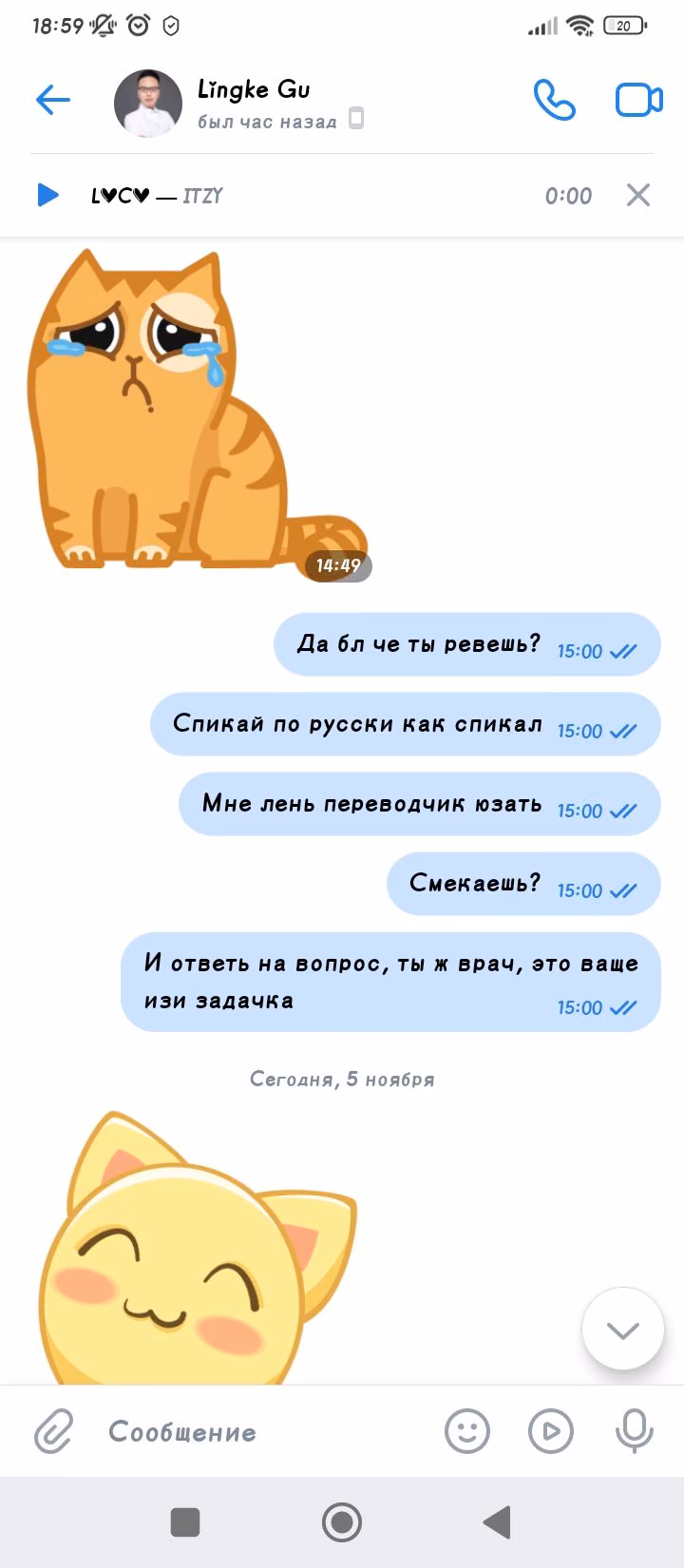 44bf3ee002a9e00c589483794e044b6f.avif