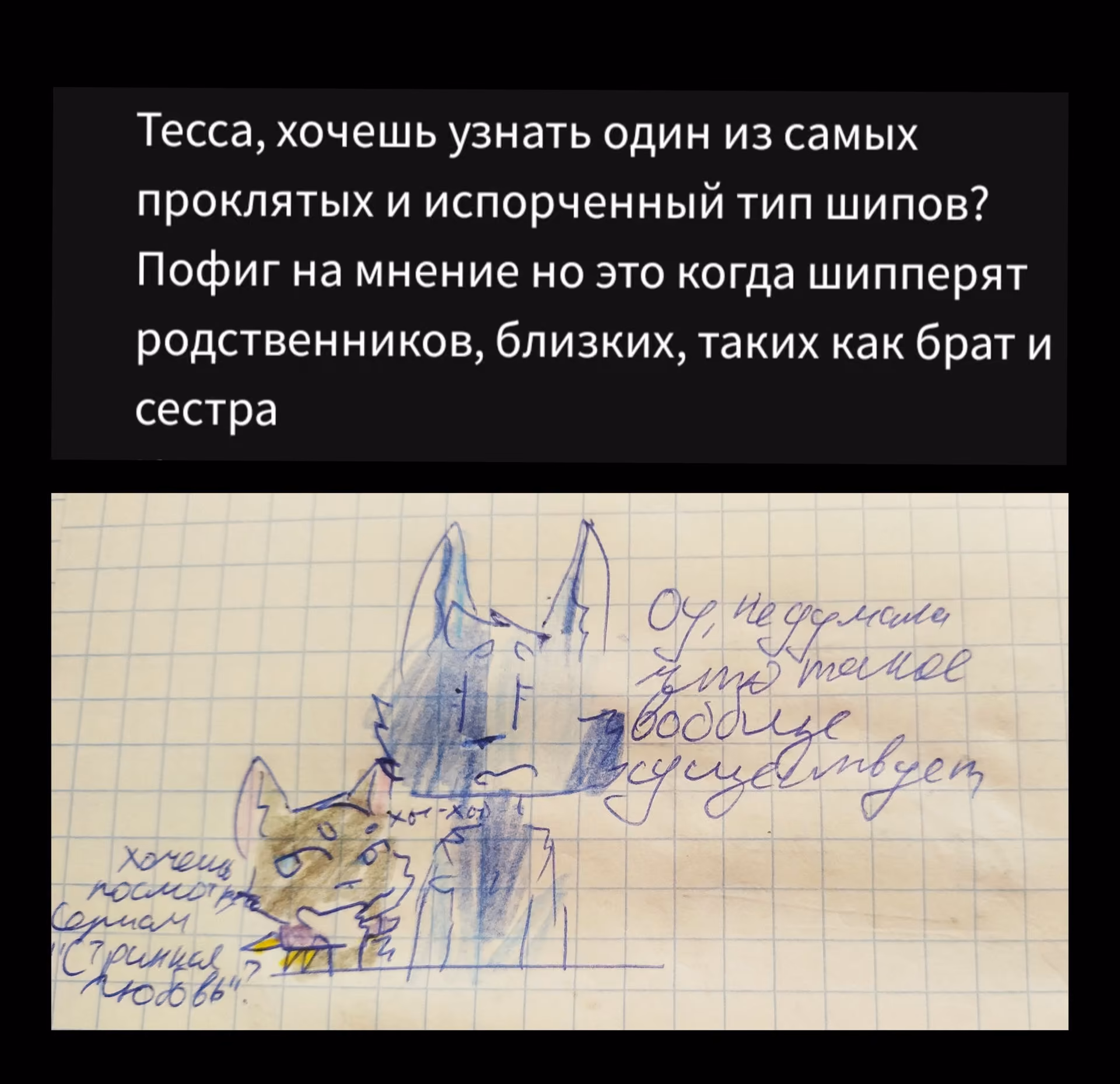 44d9c6e3e7ce556e71e215b7184f67ea.avif
