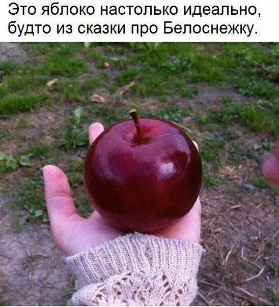 44ea498216812d9b1cbcd52d134dcd94.jpg