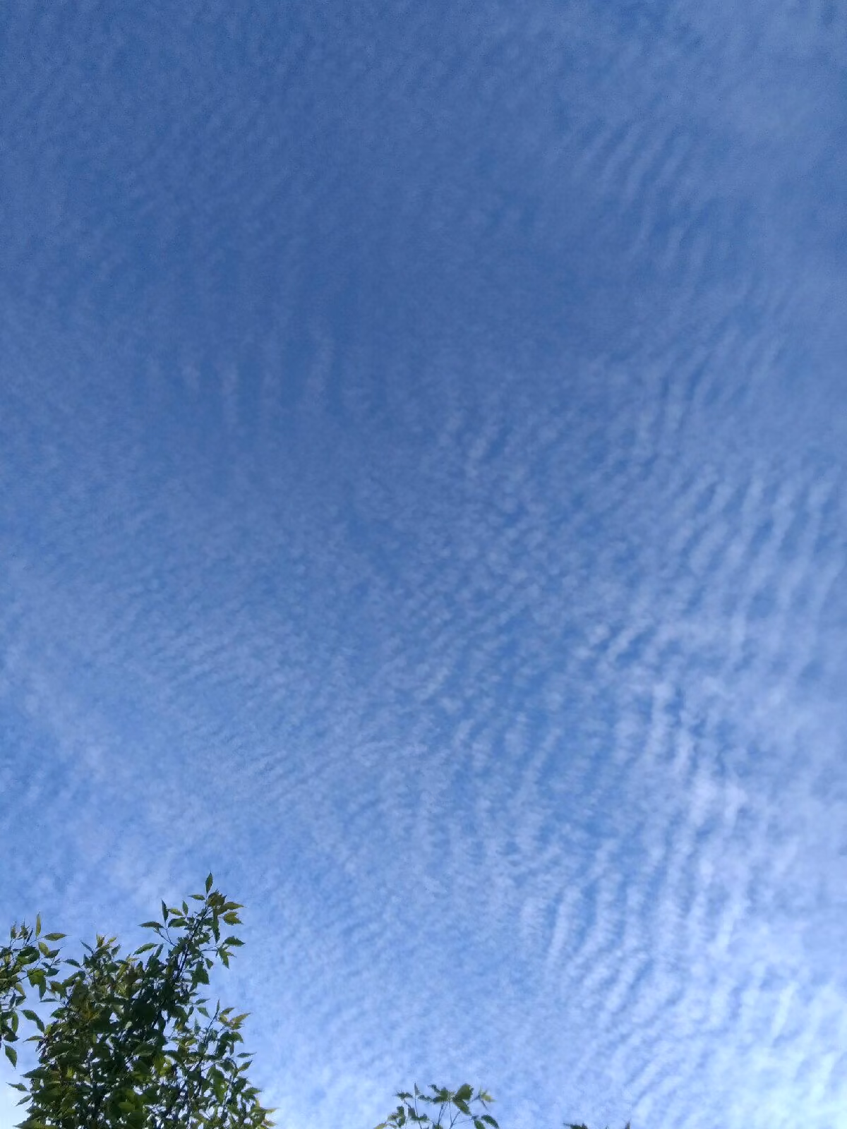 44f813d3e81ae711393b6eb456ca45ae.jpg