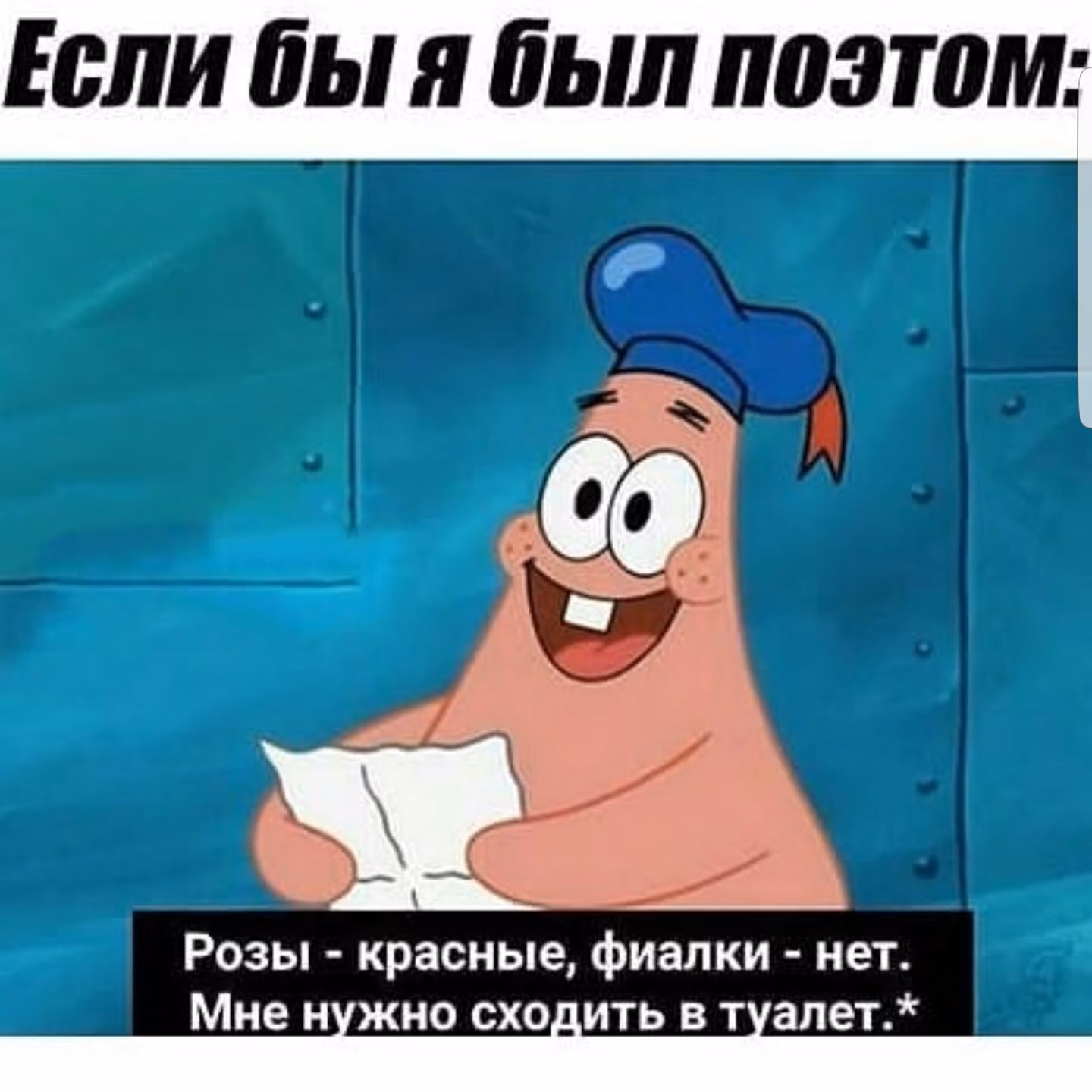 44fce56be3b1212e75710b2a1eb42d5c.avif