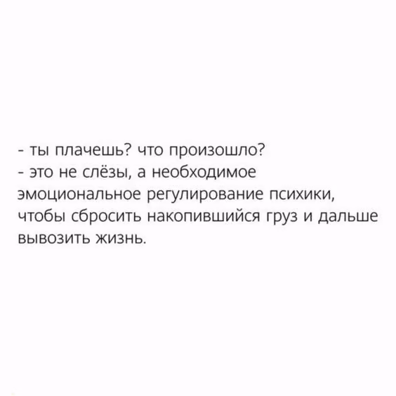 451c35b63d5701126d92c8a0a81ec64d.avif
