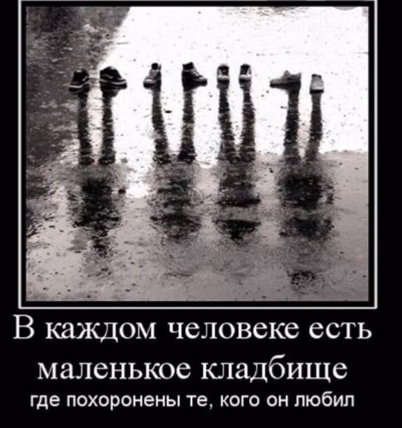 45298467848d8309df09b2c08b130ac7.avif