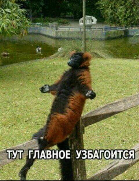 4543d8567fbdc14a15e172e4d5b579c8.avif
