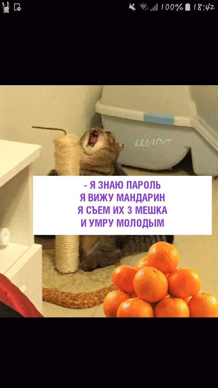 45494b3536e6850e333da70af41edc9e.jpg