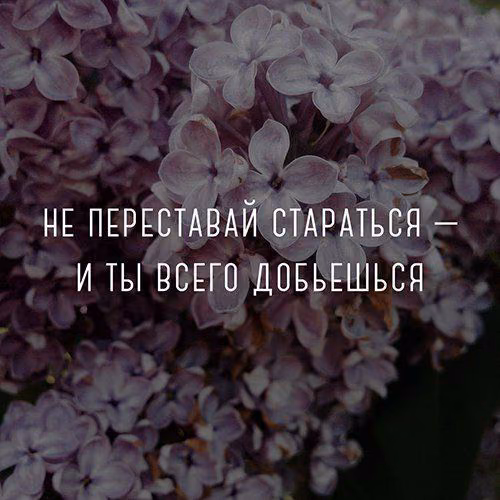 454e4b5027d260d96d8f2a68e58046f9.jpg
