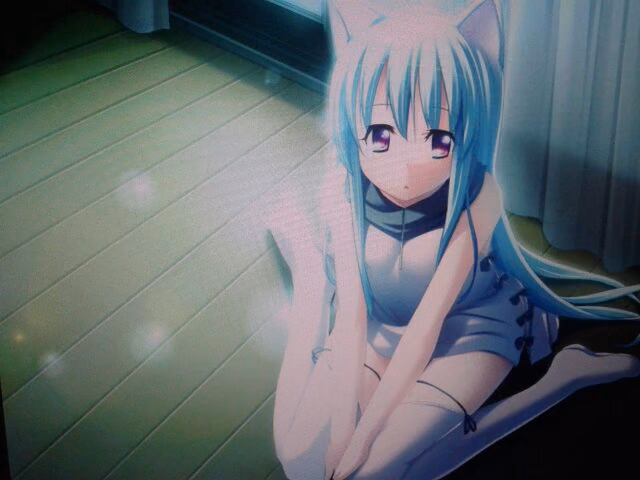 455ed3318a4c6478b15e34a2b7d5cff8.avif