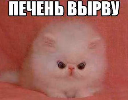 455f91f40e4fc340dda39a8fb3c60f81.jpg